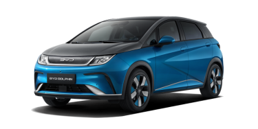 BYD DOLPHIN 21-